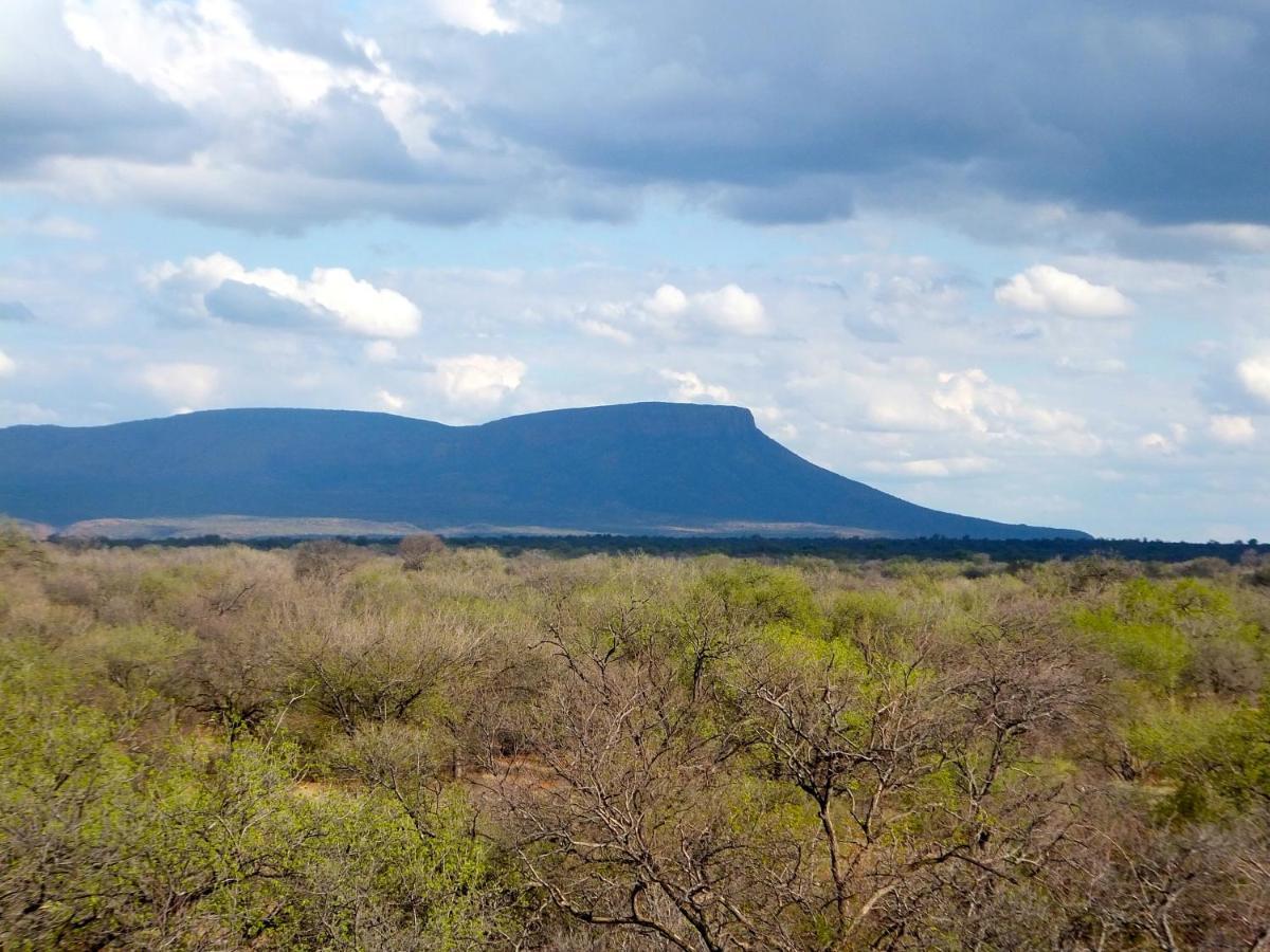 Iphofolo Lodge & Tented Camp Vivo Exterior foto