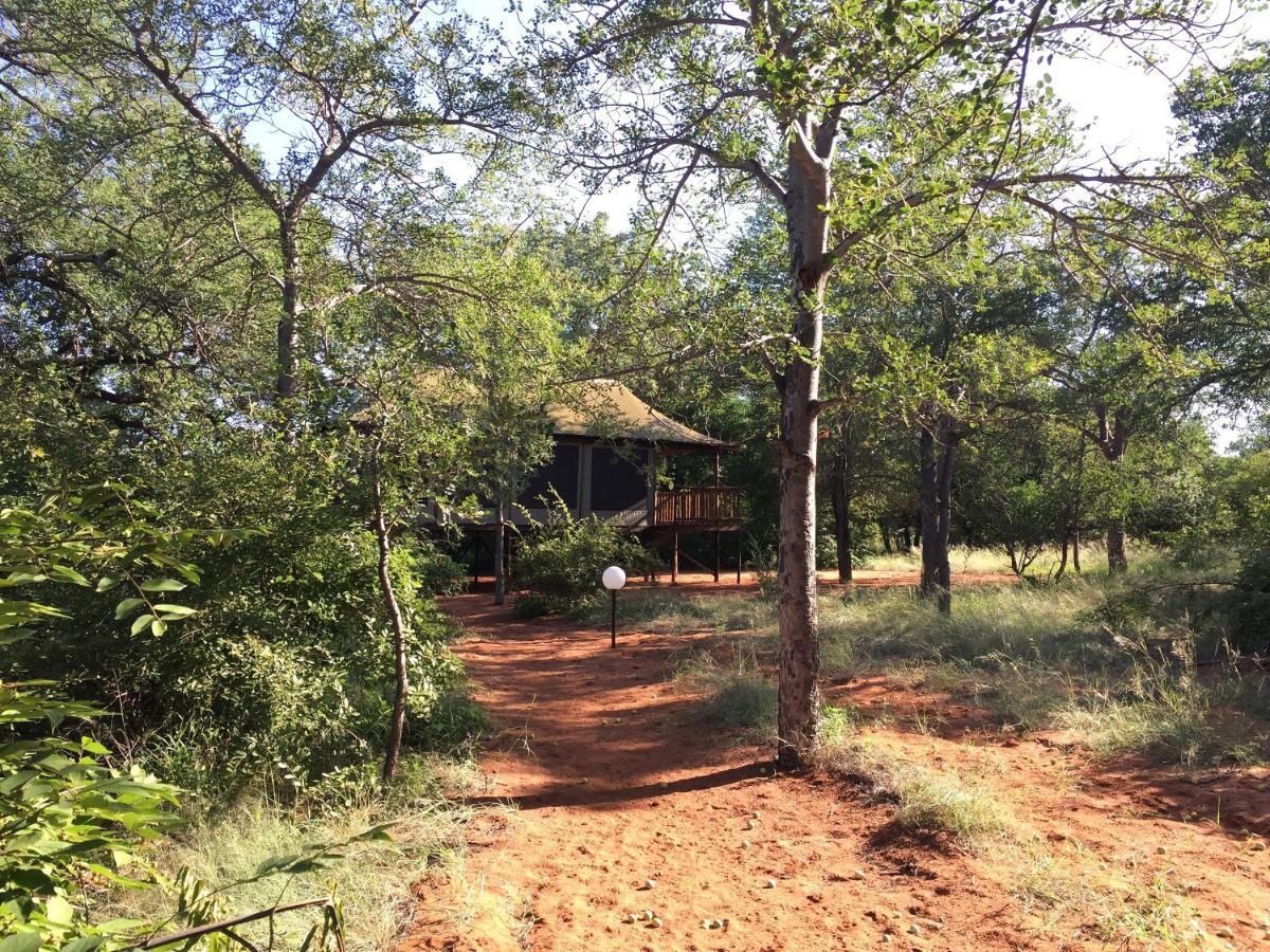 Iphofolo Lodge & Tented Camp Vivo Exterior foto