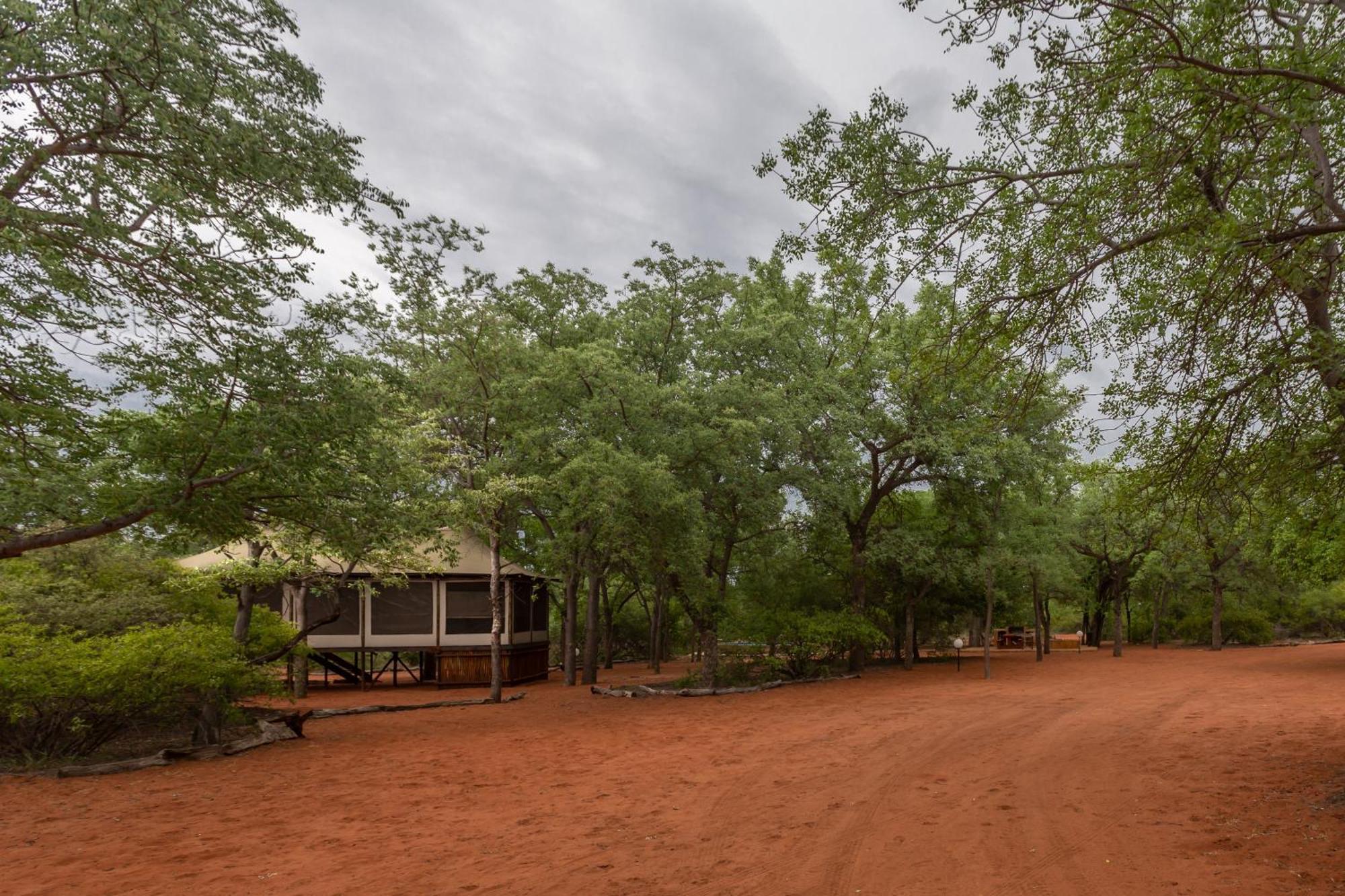 Iphofolo Lodge & Tented Camp Vivo Exterior foto
