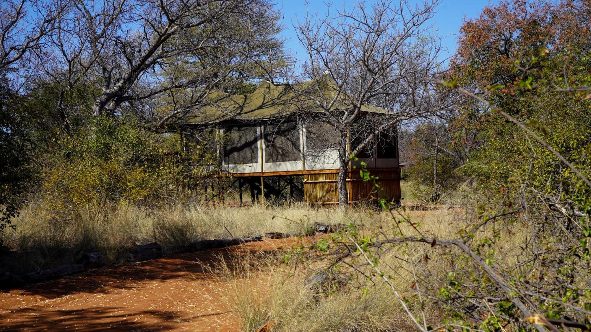 Iphofolo Lodge & Tented Camp Vivo Exterior foto